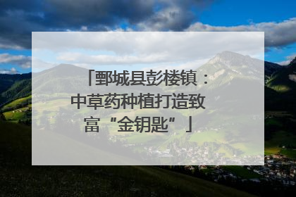 鄄城县彭楼镇：中草药种植打造致富“金钥匙”