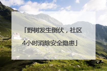 野树发生倒伏，社区4小时消除安全隐患