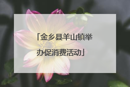 金乡县羊山镇举办促消费活动