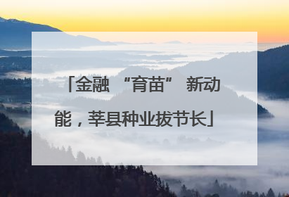 金融 “育苗” 新动能，莘县种业拔节长