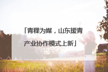 青稞为媒，山东援青产业协作模式上新
