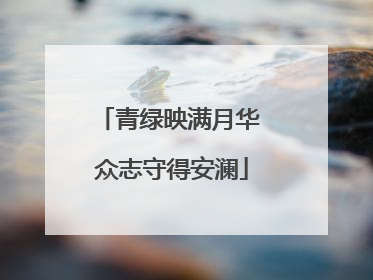 青绿映满月华 众志守得安澜