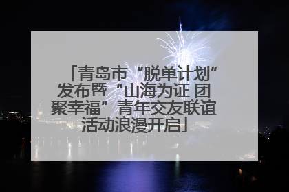 青岛市“脱单计划”发布暨“山海为证 团聚幸福”青年交友联谊活动浪漫开启