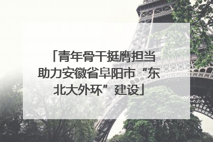 青年骨干挺膺担当 助力安徽省阜阳市“东北大外环”建设