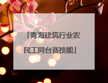 青海建筑行业农民工同台赛技能
