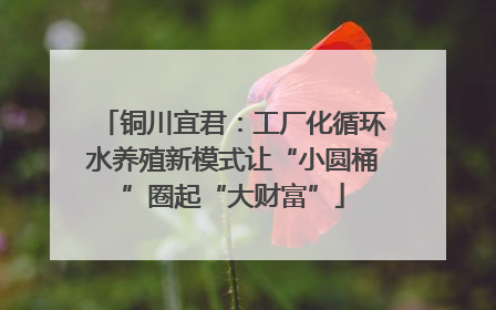 铜川宜君：工厂化循环水养殖新模式让“小圆桶”圈起“大财富”