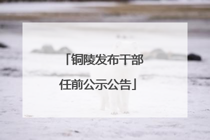铜陵发布干部任前公示公告