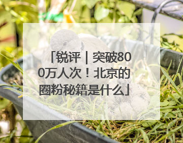 锐评｜突破800万人次！北京的圈粉秘籍是什么