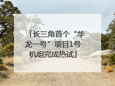 长三角首个“华龙一号”项目1号机组完成热试
