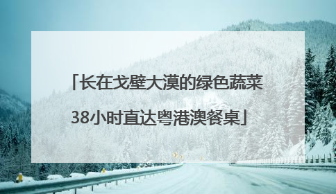 长在戈壁大漠的绿色蔬菜38小时直达粤港澳餐桌