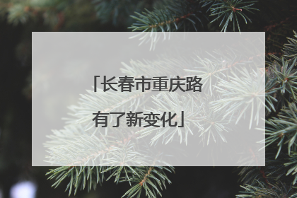 长春市重庆路有了新变化