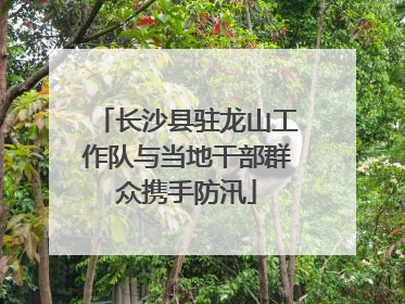 长沙县驻龙山工作队与当地干部群众携手防汛