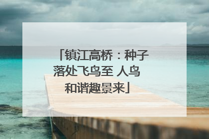 镇江高桥：种子落处飞鸟至 人鸟和谐趣景来
