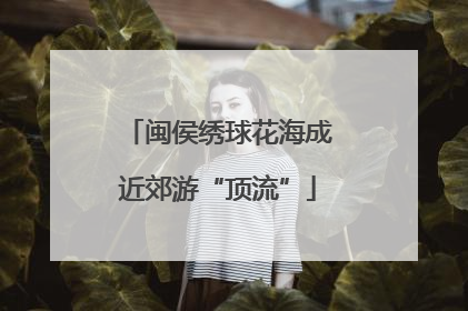 闽侯绣球花海成近郊游“顶流”
