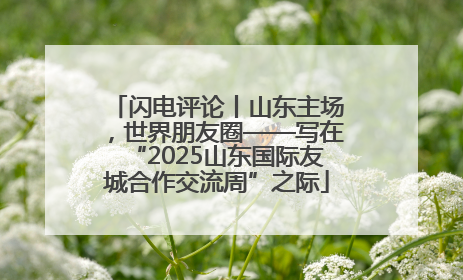 闪电评论丨山东主场，世界朋友圈——写在“2025山东国际友城合作交流周”之际
