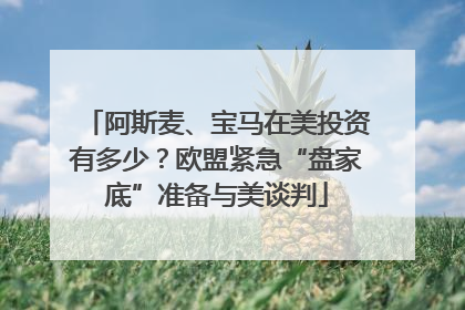 阿斯麦、宝马在美投资有多少？欧盟紧急“盘家底”准备与美谈判