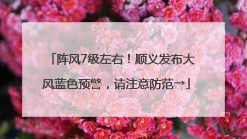 阵风7级左右！顺义发布大风蓝色预警，请注意防范→