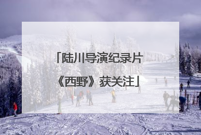 陆川导演纪录片《西野》获关注