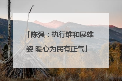 陈强：执行维和展雄姿 暖心为民有正气
