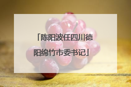 陈阳波任四川德阳绵竹市委书记