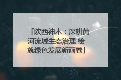 陕西神木：深耕黄河流域生态治理 绘就绿色发展新画卷
