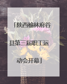 陕西榆林府谷县第三届职工运动会开幕