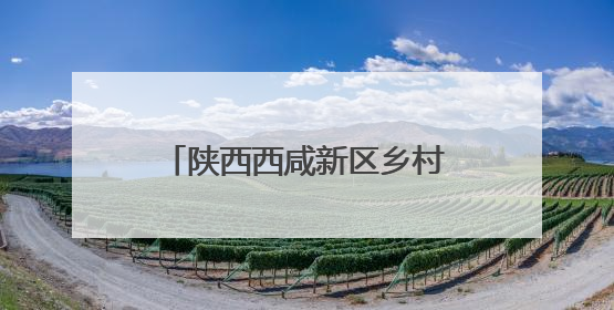 陕西西咸新区乡村旅游消费季启动仪式在茯茶镇举办