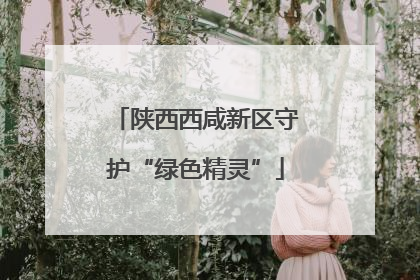 陕西西咸新区守护“绿色精灵”