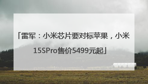 雷军：小米芯片要对标苹果，小米15SPro售价5499元起