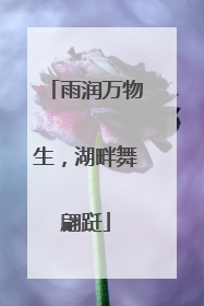 雨润万物生，湖畔舞翩跹