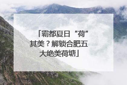 霸都夏日“荷”其美？解锁合肥五大绝美荷塘