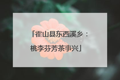 霍山县东西溪乡：桃李芬芳茶事兴