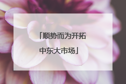 顺势而为开拓中东大市场