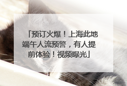 预订火爆！上海此地端午人流预警，有人提前体验！视频曝光