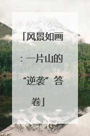 风景如画：一片山的“逆袭”答卷