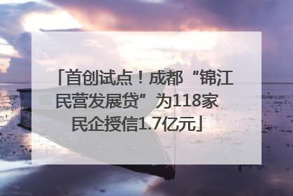 首创试点！成都“锦江民营发展贷”为118家民企授信1.7亿元