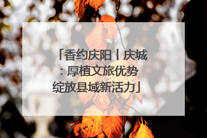 香约庆阳丨庆城：厚植文旅优势 绽放县域新活力