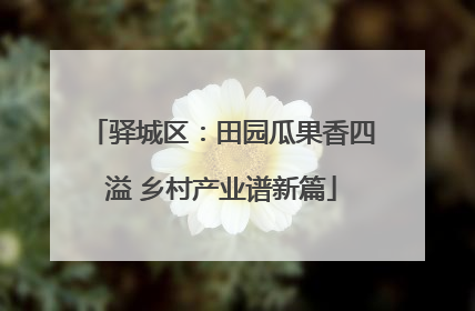 驿城区：田园瓜果香四溢 乡村产业谱新篇
