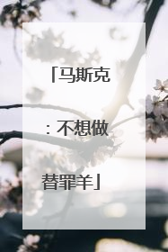 马斯克：不想做替罪羊