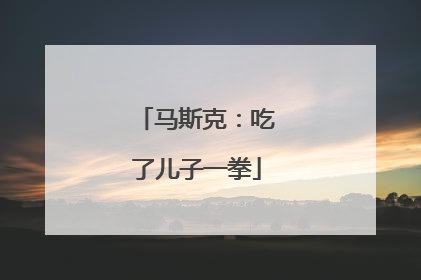马斯克：吃了儿子一拳