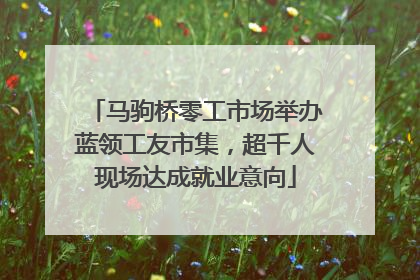 马驹桥零工市场举办蓝领工友市集，超千人现场达成就业意向