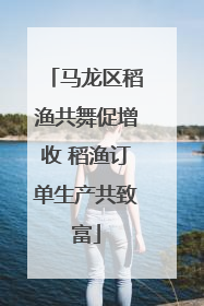 马龙区稻渔共舞促增收 稻渔订单生产共致富