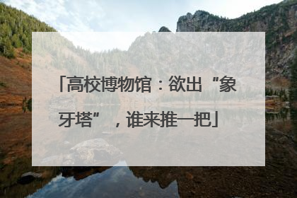 高校博物馆：欲出“象牙塔”，谁来推一把