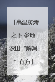 高温炙烤之下 多地农田“解渴”有方
