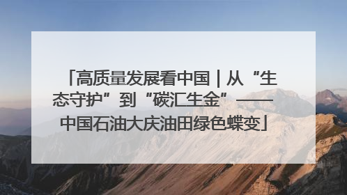 高质量发展看中国｜从“生态守护”到“碳汇生金”——中国石油大庆油田绿色蝶变