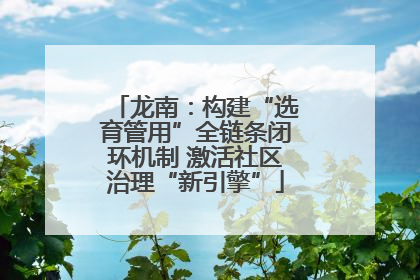 龙南：构建“选育管用”全链条闭环机制 激活社区治理“新引擎”