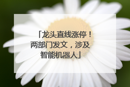龙头直线涨停！两部门发文，涉及智能机器人