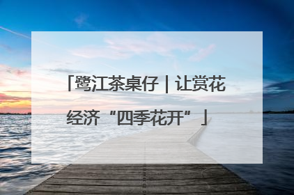 鹭江茶桌仔｜让赏花经济“四季花开”