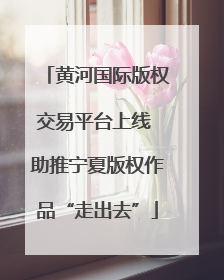黄河国际版权交易平台上线 助推宁夏版权作品“走出去”