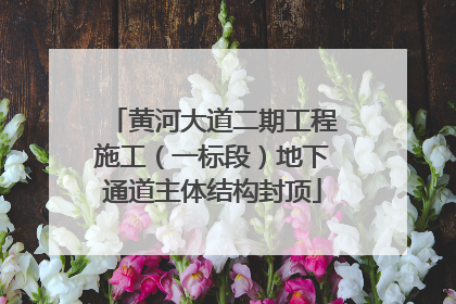 黄河大道二期工程施工（一标段）地下通道主体结构封顶